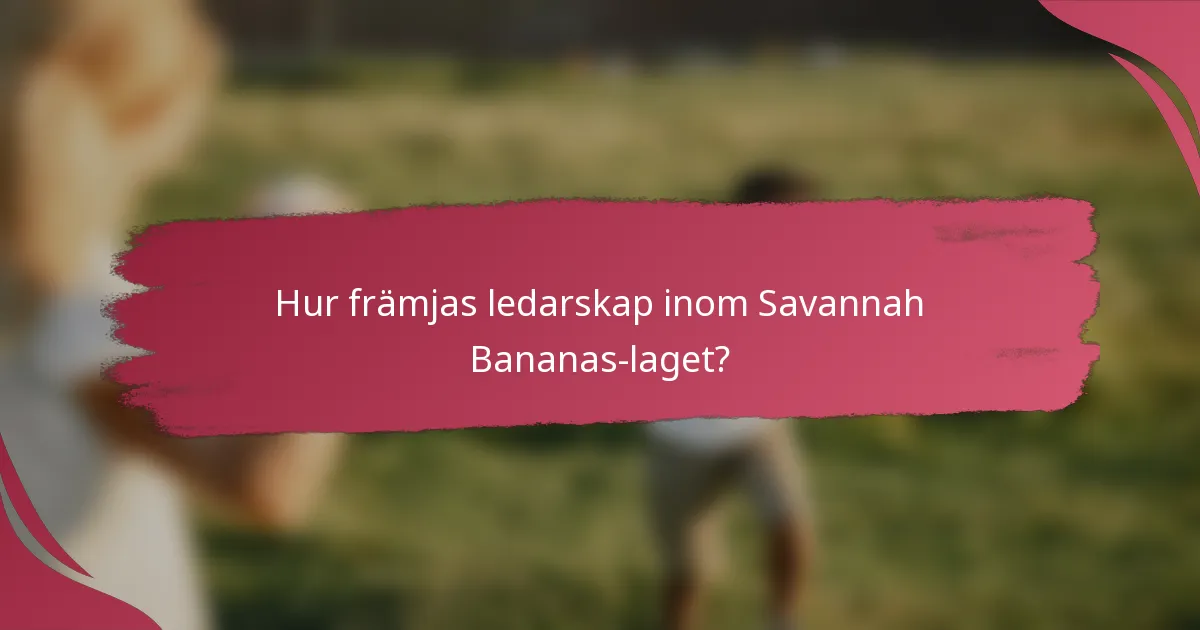 Hur främjas ledarskap inom Savannah Bananas-laget?
