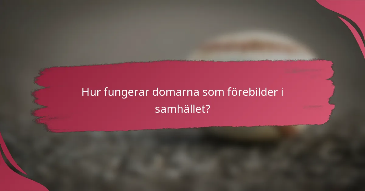 Hur fungerar domarna som förebilder i samhället?