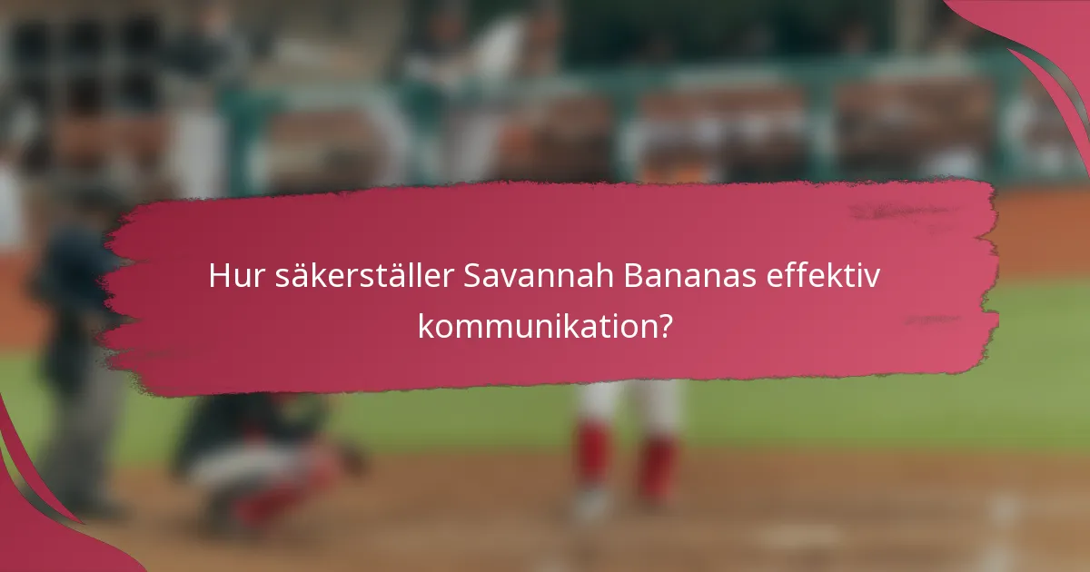 Hur säkerställer Savannah Bananas effektiv kommunikation?