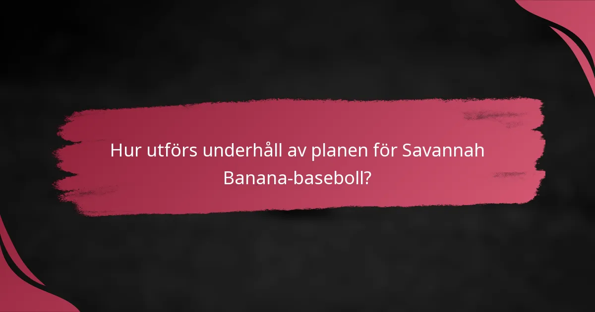 Hur utförs underhåll av planen för Savannah Banana-baseboll?